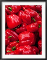 Framed Red bell peppers for sale at weekly market, Arles, Bouches-Du-Rhone, Provence-Alpes-Cote d'Azur, France