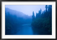 Framed River passing through a forest in the rainy morning, Jedediah Smith Redwoods State Park, Crescent City, California, USA