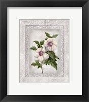 Framed Floral I