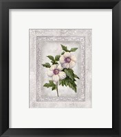 Framed 'Floral I' border=