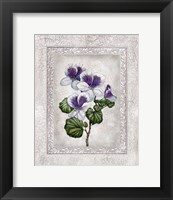 Framed 'Floral II' border=