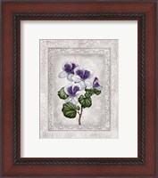 Framed 'Floral II' border=