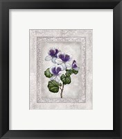 Framed 'Floral II' border=