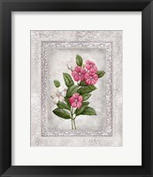 Framed 'Floral III' border=