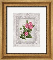 Framed 'Floral III' border=