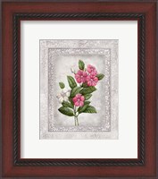 Framed 'Floral III' border=