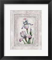 Framed 'Floral IV' border=