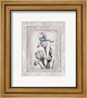 Framed 'Floral IV' border=