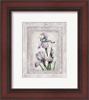 Framed 'Floral IV' border=