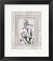 Framed 'Floral IV' border=