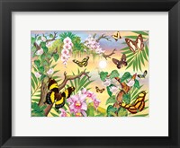 Framed Butterflies Up IN The Canopy