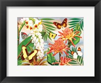 Framed Butterflies With Torch Ginger