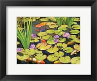 Framed Koi Pond II