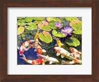 Framed Koi Pond III