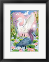 Framed LIttleblue And Snowy Herons