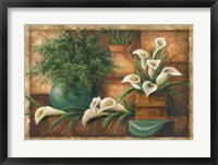Framed Vessels And Callas
