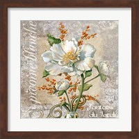 Framed White Peony Fantasy