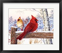 Framed Cardinal Pair with Birch