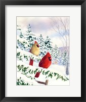 Framed Cedar Farms Cardinals I