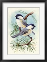 Framed Chickadee Vignette