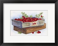 Framed Cranberry Crates