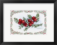 Framed Cranberry Spray