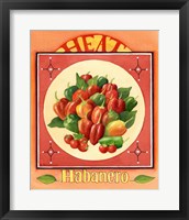 Framed Habanero