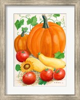 Framed Pumpkins, Tomatoes and Squash