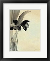 Framed Orchid Blush Panels I