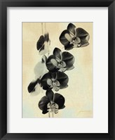 Framed Orchid Blush Panels III