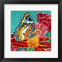 Poised Butterfly I Framed Print