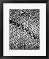 Reflections of NYC V Framed Print