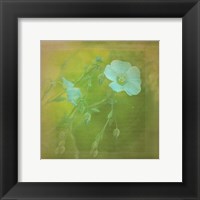 Framed White Flowers VI