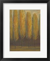 Framed Soft Sienna