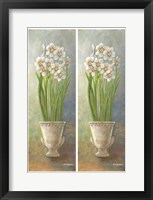 Framed 2-Up Narcissus Vertical