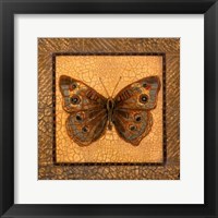 Framed Crackled Butterfly - Buckeye