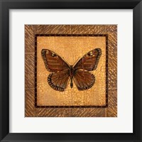 Crackled Butterfly - Monarch Framed Print