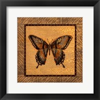 Framed Crackled Butterfly - Swallowtail