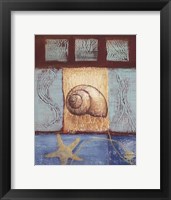 Framed Aquamarine Snail