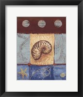 Framed Aquamarine Nautilus