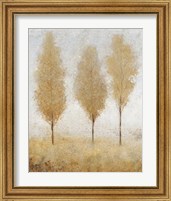 Framed 'Autumn Springs I' border=