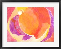 Cabbage Rose V Framed Print