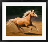 Framed Blazing Horse I