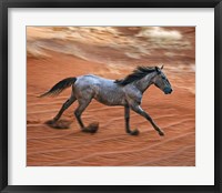 Blazing Horse II Framed Print