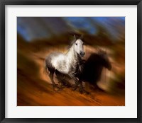 Blazing Horse III Framed Print