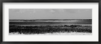 Framed Shore Panorama IV