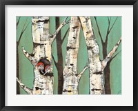 Birch Grove on Teal I Framed Print