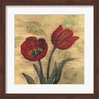 Framed Tulip on Wood