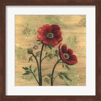 Framed Anemone on Wood