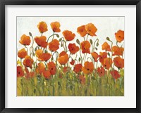 Framed Rows of Poppies I